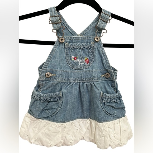 Oshkosh B'gosh Baby Girl Ruffled Dress Floral Blue Denim Size 9 Month - Picture 1 of 6